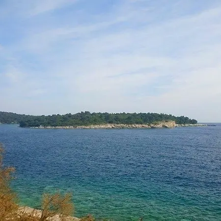 Apartman Nikola *